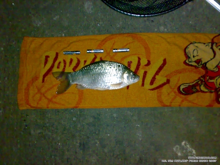 20120101601.jpg