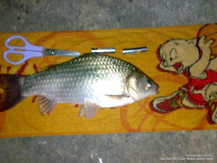 20120101603.jpg