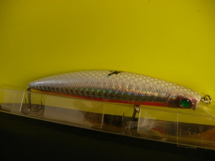 SANY0217.JPG