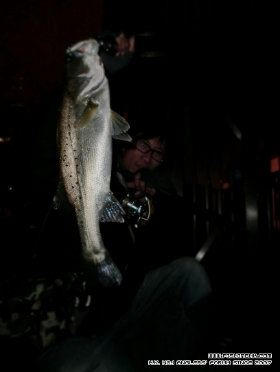 sea bass3.jpg