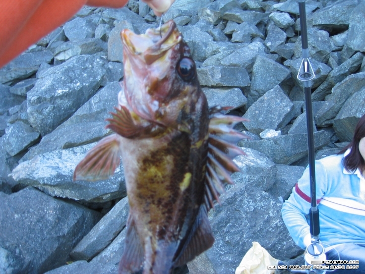 FISHING 002.JPG