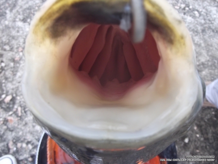 DSCF43.JPG