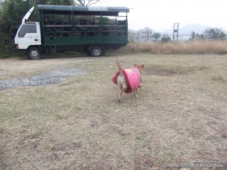 DSCF84.JPG