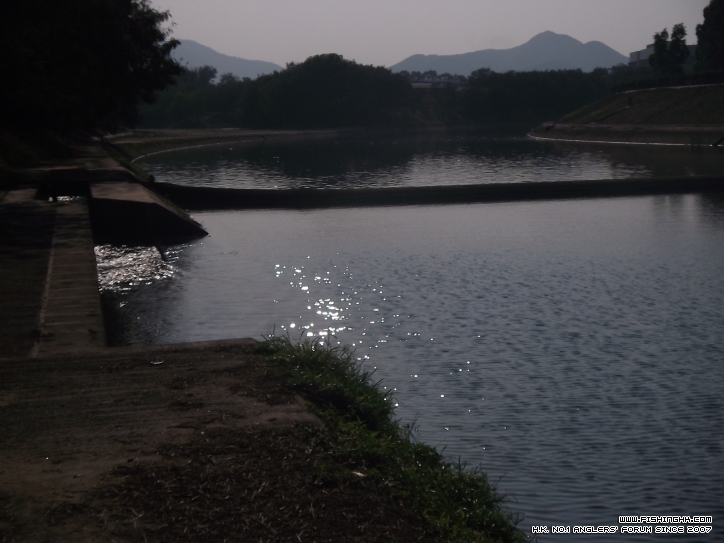 DSCF1650.JPG