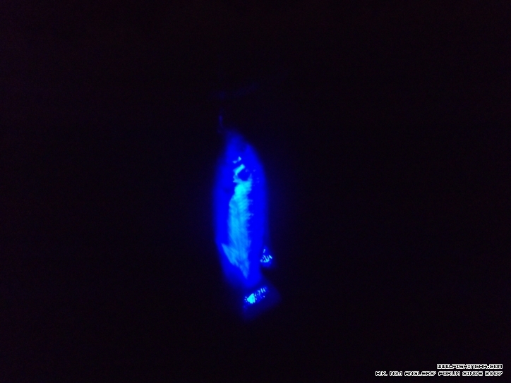DSCF1749.JPG