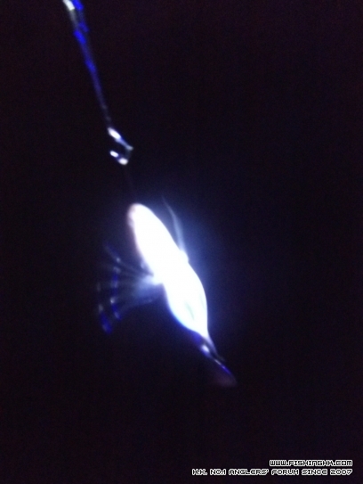 DSCF1773.JPG