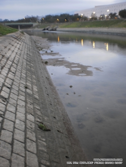 P2050009.JPG