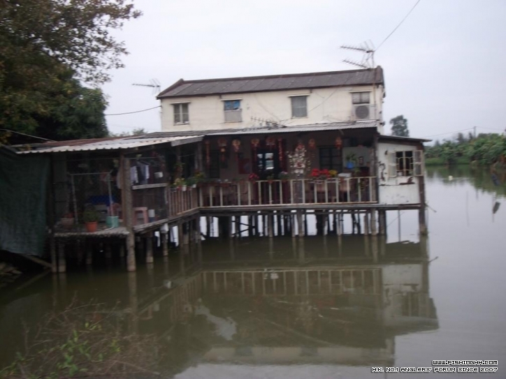 dsc001 (13).JPG