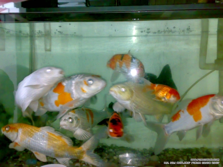 20120215707.jpg