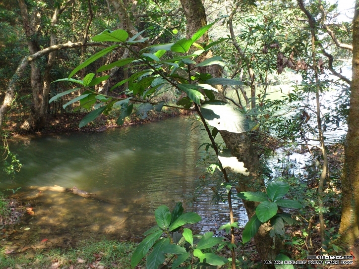 DSC_0065.JPG