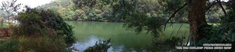 DSC_0070.JPG