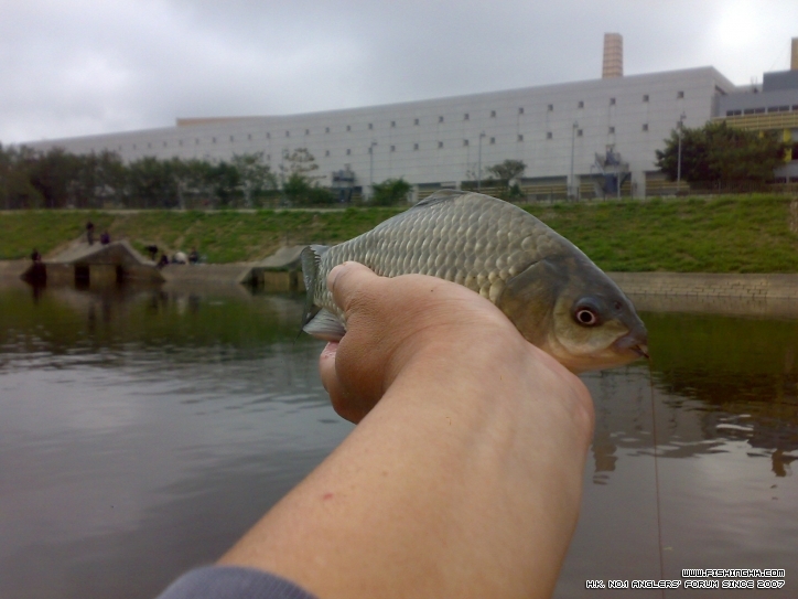 20120301745.jpg