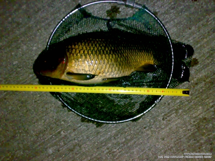 20120301752.jpg