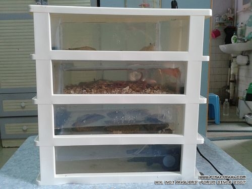 20120211_102450.jpg