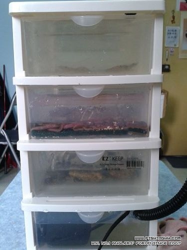 20120211_102528.jpg