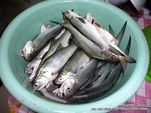 2012年3月10日钓获01.jpg