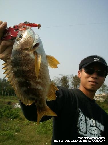 2012-03-25 15.10.JPG