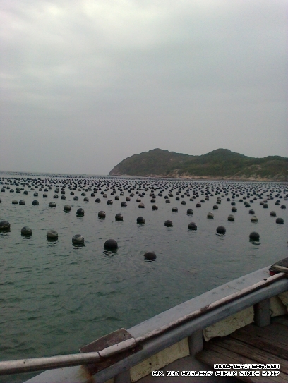 shan 003.jpg