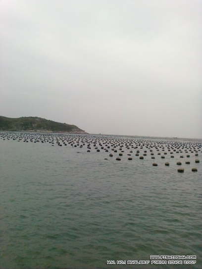 shan 004.jpg