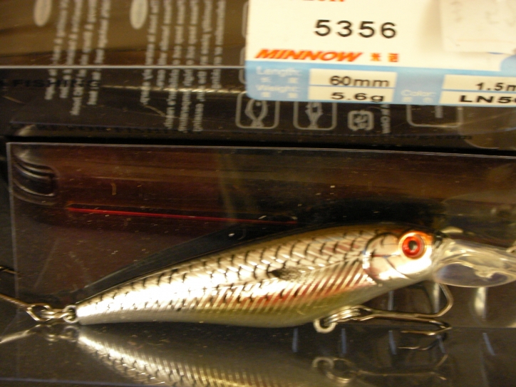 SANY0027.JPG
