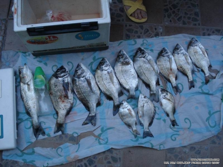 调整大小 DSC04702.JPG