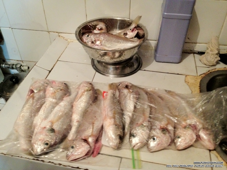 IMG_1036.jpeg