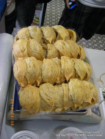 IMGP2843.JPG
