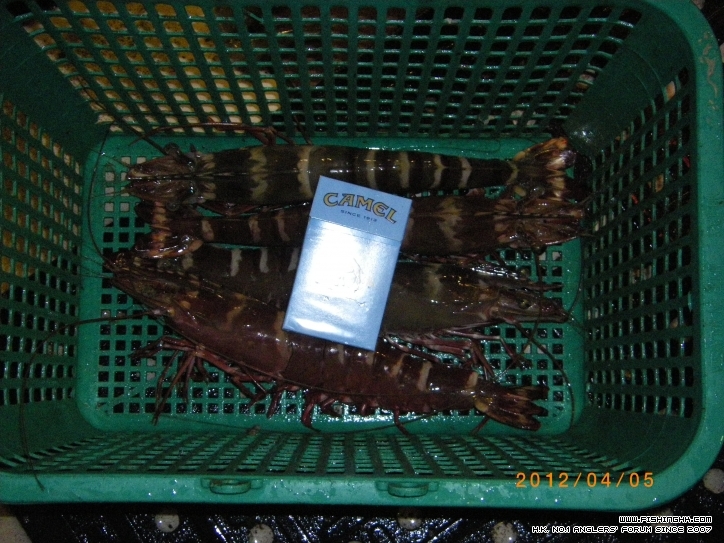 IMGP2829.JPG