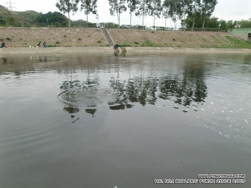 20120227_6ab5eef5818d0f5b2e99wfFebXBASt6n.jpg