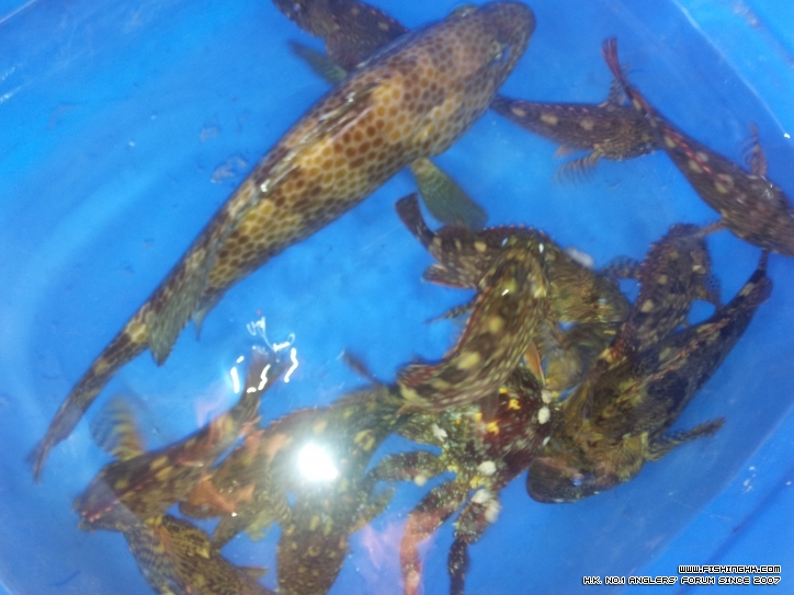 20120414_165415.jpg