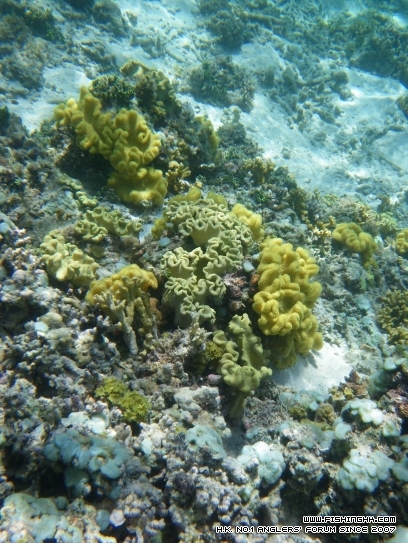 IMGP0185.jpg