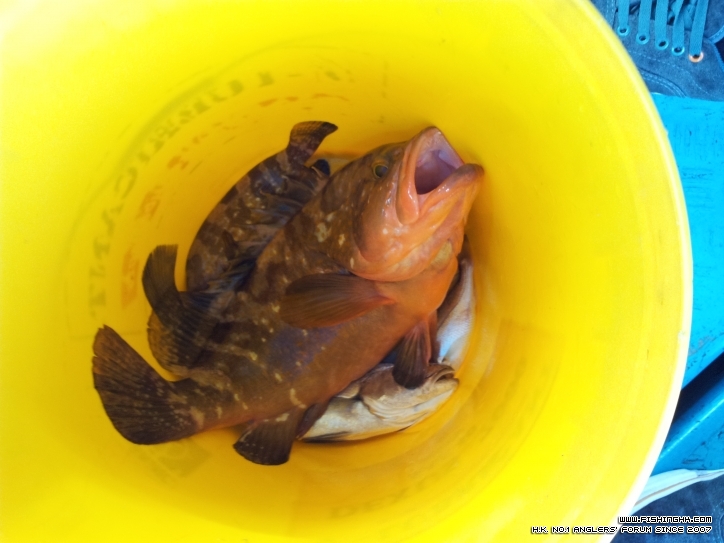 20120422_165426.jpg