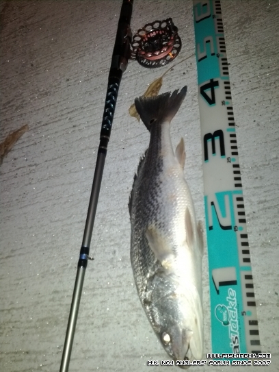 IMG_20120425_202908.jpg