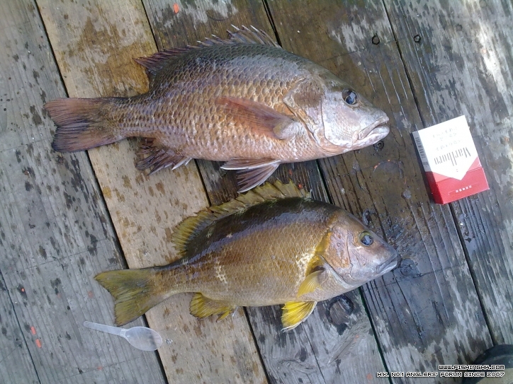 20120422011.jpg