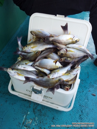 20120430_164605.jpg