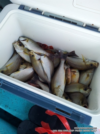 20120430_164811.jpg