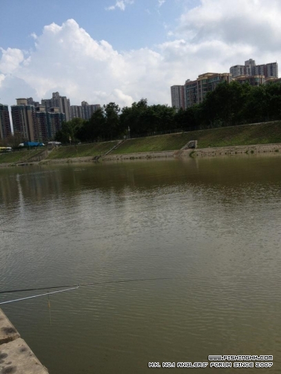 初夏~~~梧桐河我返呢啦!!(&gt;(T)&lt;)