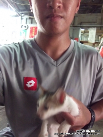 DSCF3456.JPG