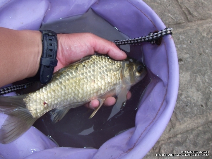 DSCF3514.JPG