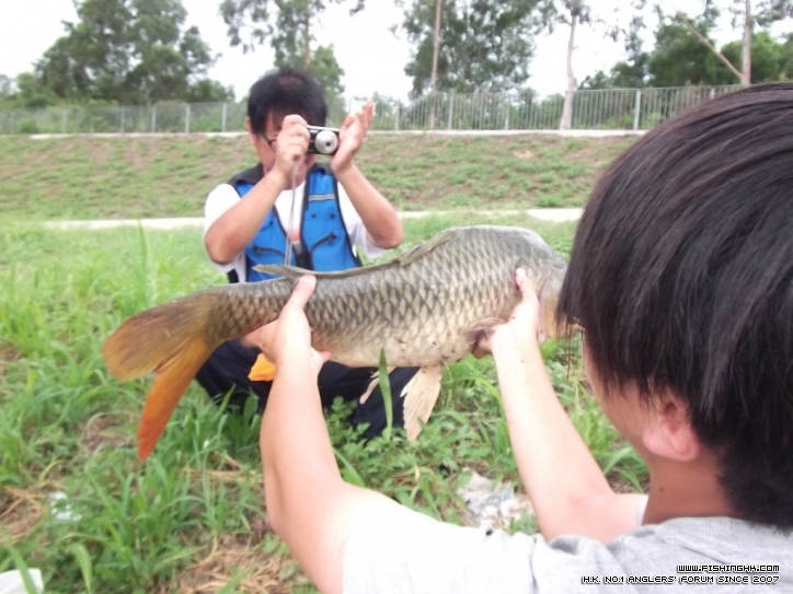 DSCF3530.JPG