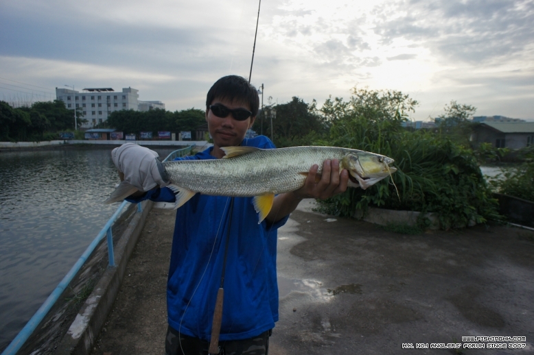DSC04728.jpg