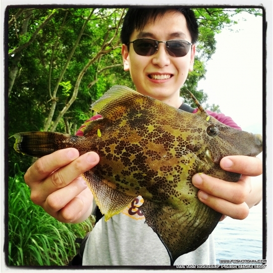 IMG_20120515_110349.jpg