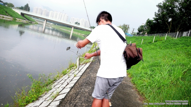 P1130216.JPG