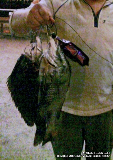 DSC00031.JPG