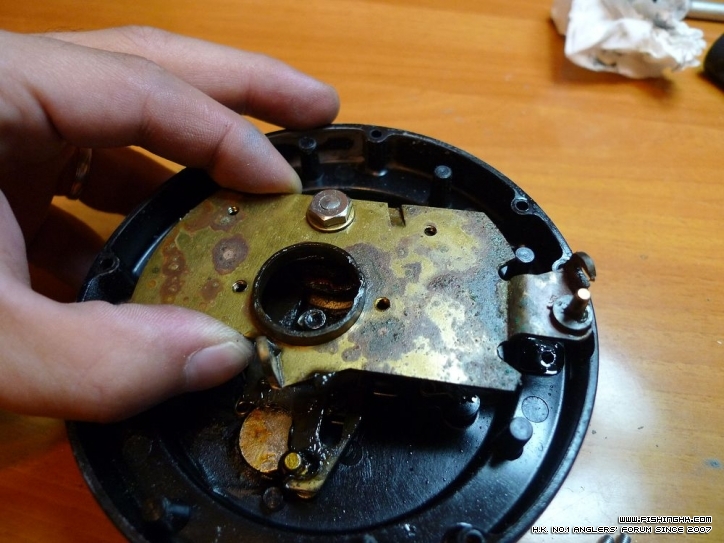 P1 (16).jpg