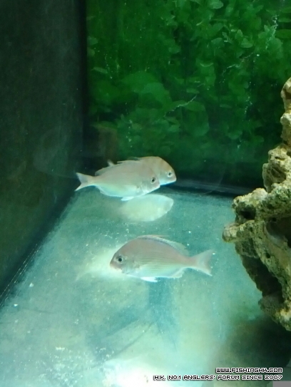 CYMERA_20120610_193322.jpg
