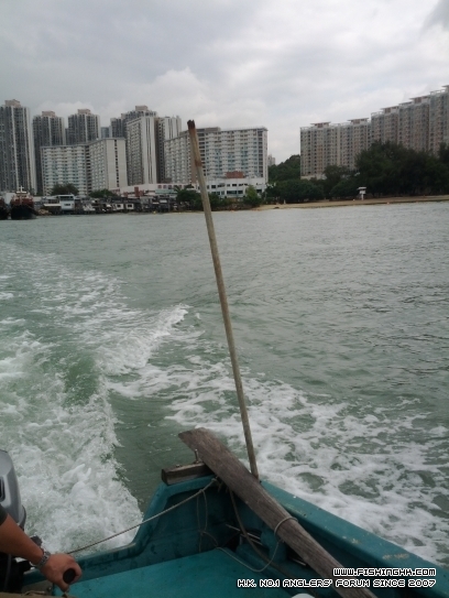 IMG_20120610_095133.jpg