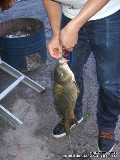 DSCF3913.JPG