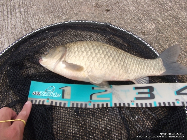 DSCF3766.JPG