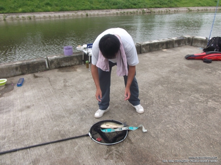 DSCF3768.JPG